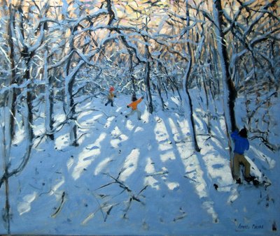 Winterwald, in der Nähe von Newhaven, Derbyshire von Andrew Macara